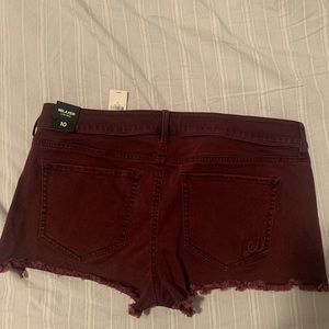 NWT Express relaxed low rise shorts